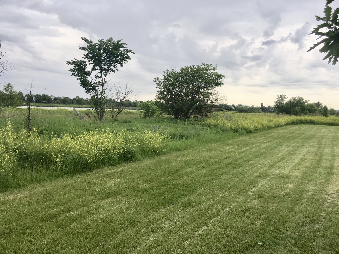249 Springbrook Trail South Oswego, IL 60543 - Photo 40 of 40