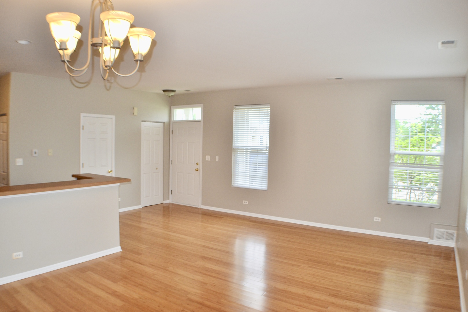 249 Springbrook Trail South Oswego, IL 60543 - Photo 7 of 40