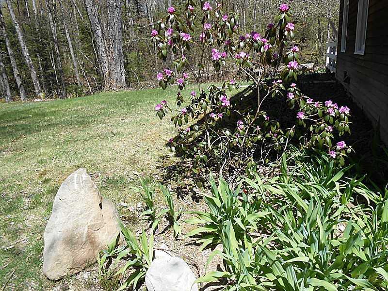 751 Townhouse Road East Waterboro, ME 04030 - Photo 12 of 23 Yard/Garden.