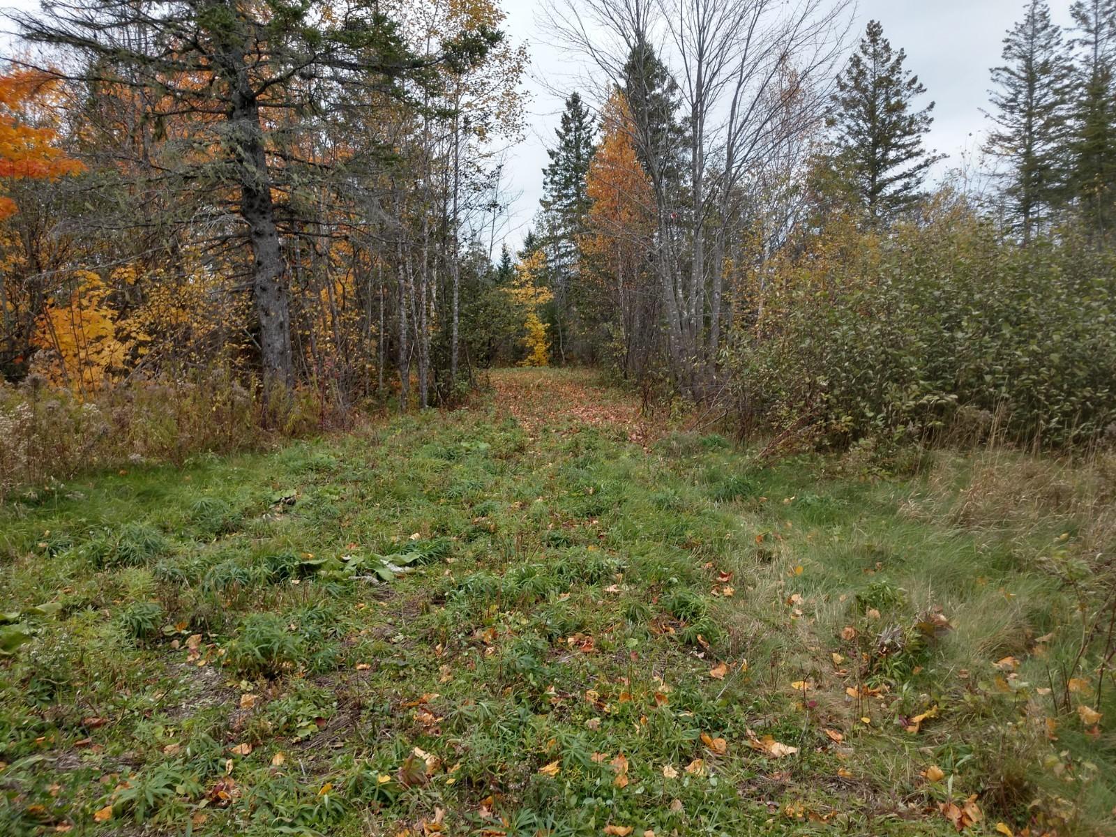 Lot 9 Spring Hill, Unit ACRES Amity, ME 04471 - Photo 4 of 5 IMG_20181019_144216713_HDR