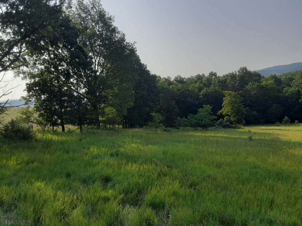 0 C Diehl Road Manns Choice, PA 15550 - Photo 11 of 19