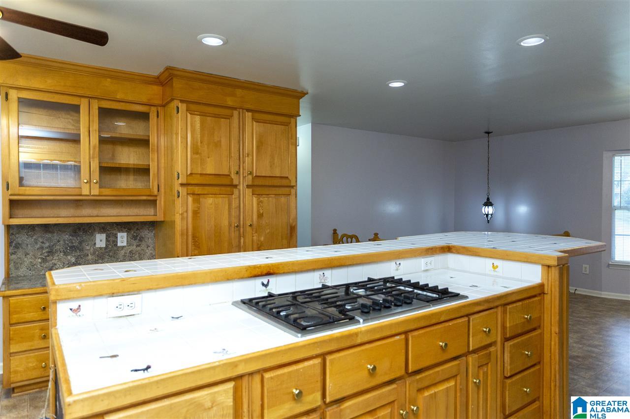 380 Brian Trail Springville, AL 35146 - Photo 10 of 34
