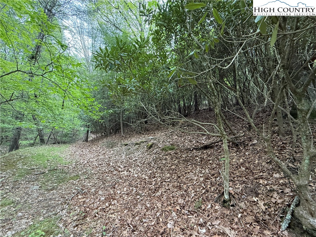 1180 Spencer Branch Road Lansing, NC 28643 - Photo 15 of 16 Gallery Image 15