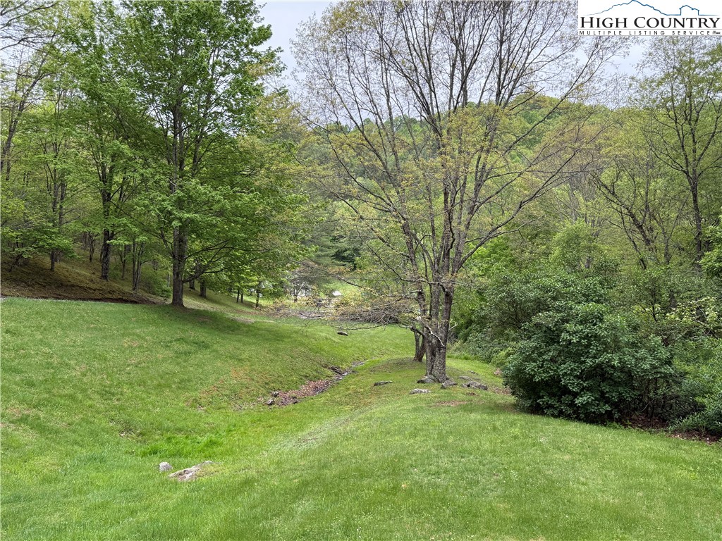 1180 Spencer Branch Road Lansing, NC 28643 - Photo 4 of 16 Gallery Image 4