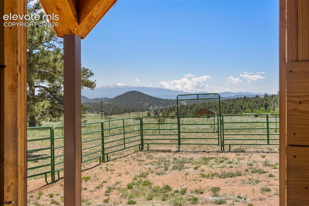 546 Pulver Road Lake George, CO 80827 - Photo 30 of 45 a view of a forest from a window