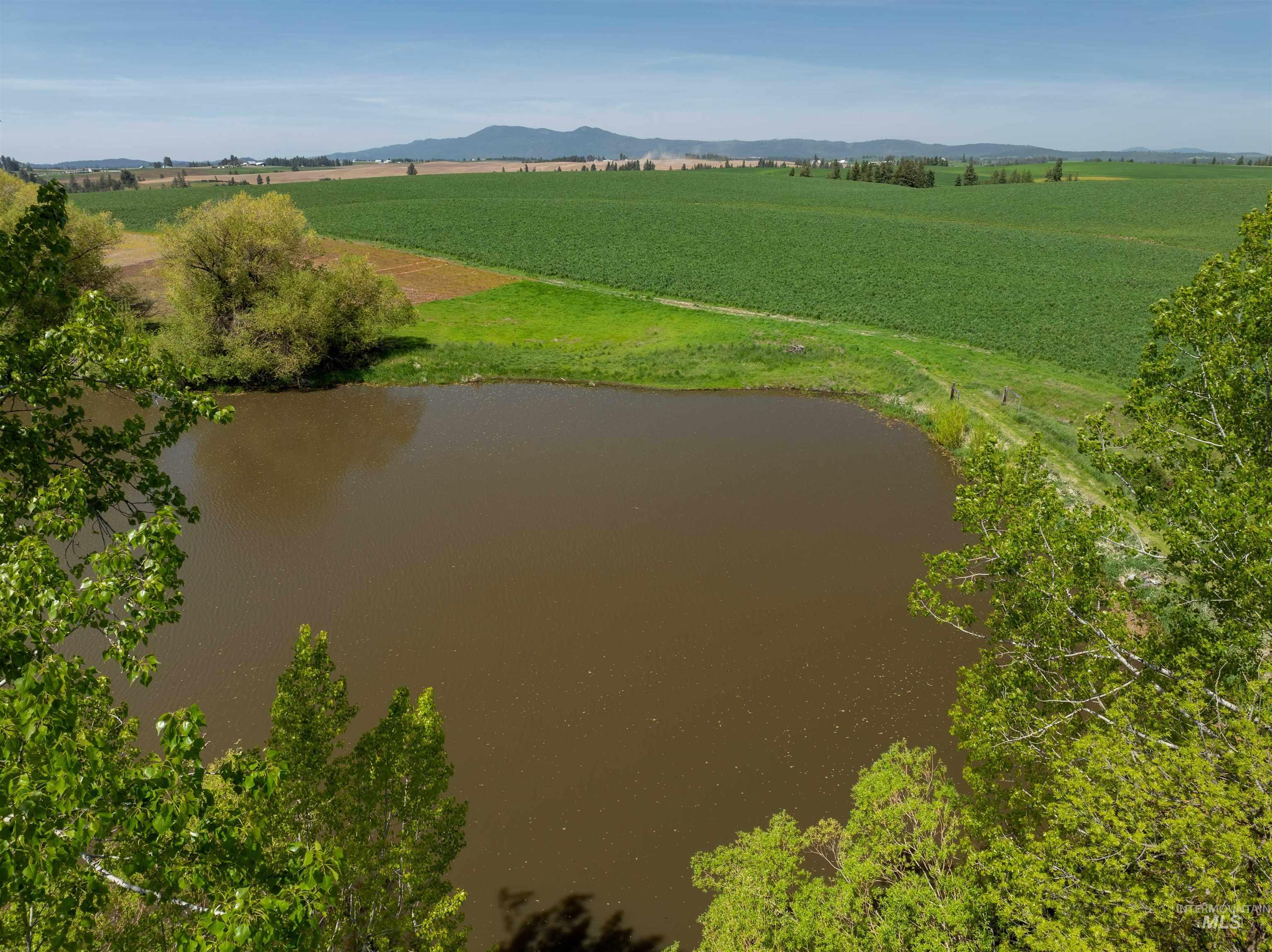1611 Little Bear Ridge Road Troy, ID 83871 - Photo 45 of 47