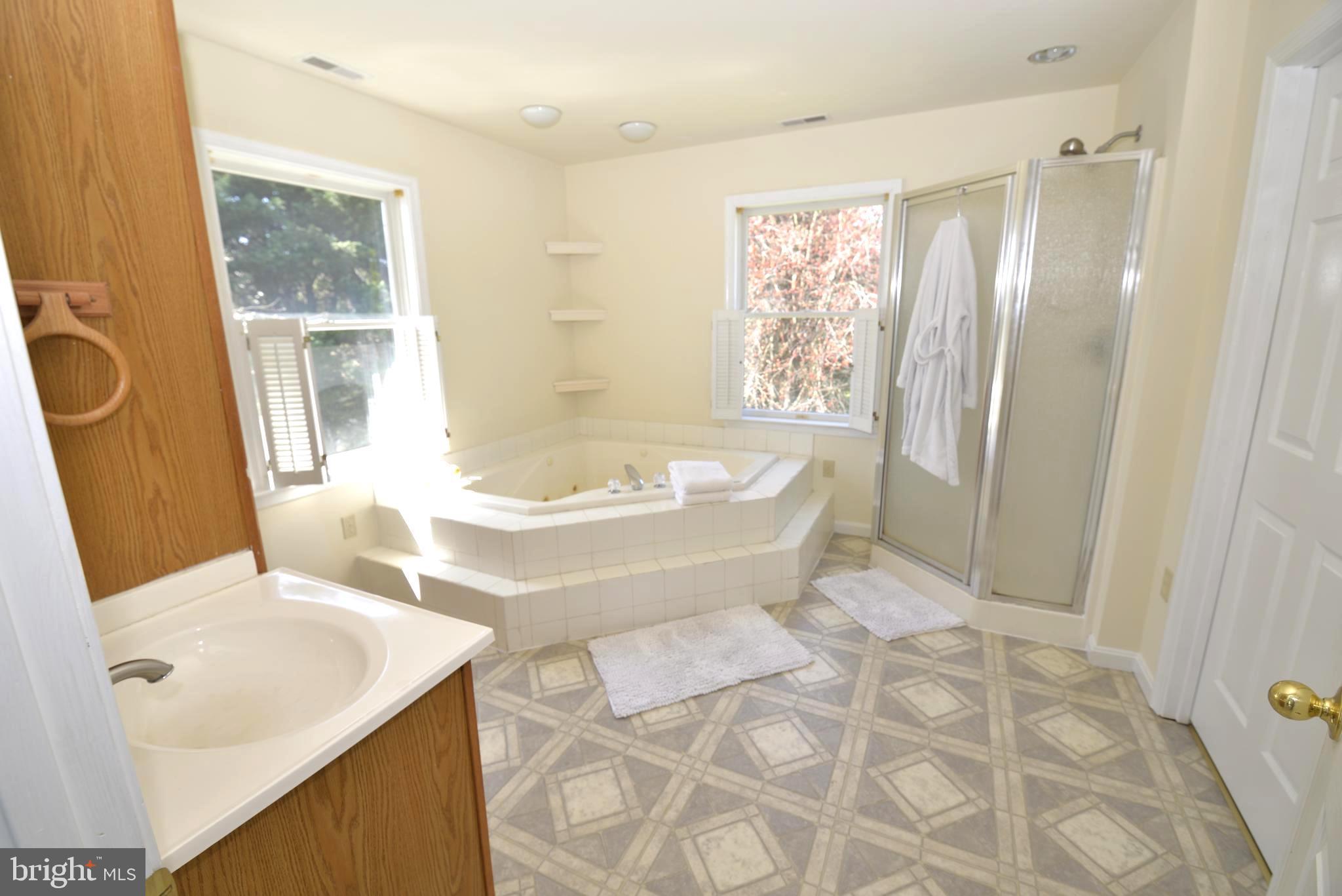 101 Myers Road Chestertown, MD 21620 - Photo 22 of 47 master bath