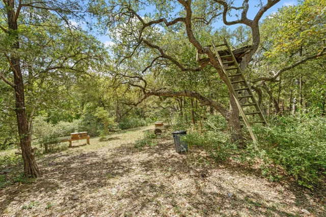 a backyard of a house with lots of green space
