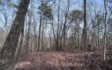0 Old Federal Road Talking Rock, GA 30175 - Photo 27 of 32 Additional View