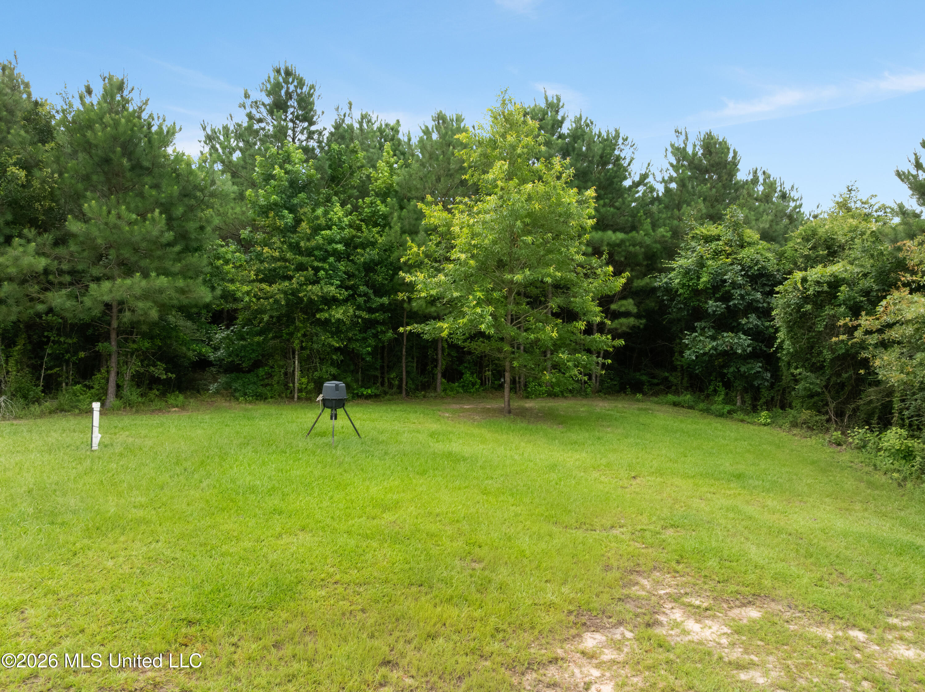 232 Knoxo Columbia Road Tylertown, MS 39667 - Photo 68 of 120 232_Knoxo_Columbia_Rd-68
