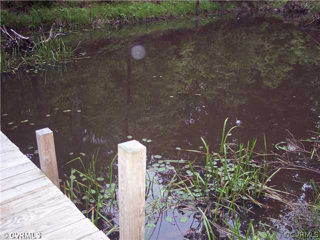 3273 Grandy Road Brodnax, VA 23920 - Photo 8 of 11 Other - Small Pond a short walk away...bring the f