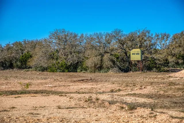 a view of a backyard with large trees