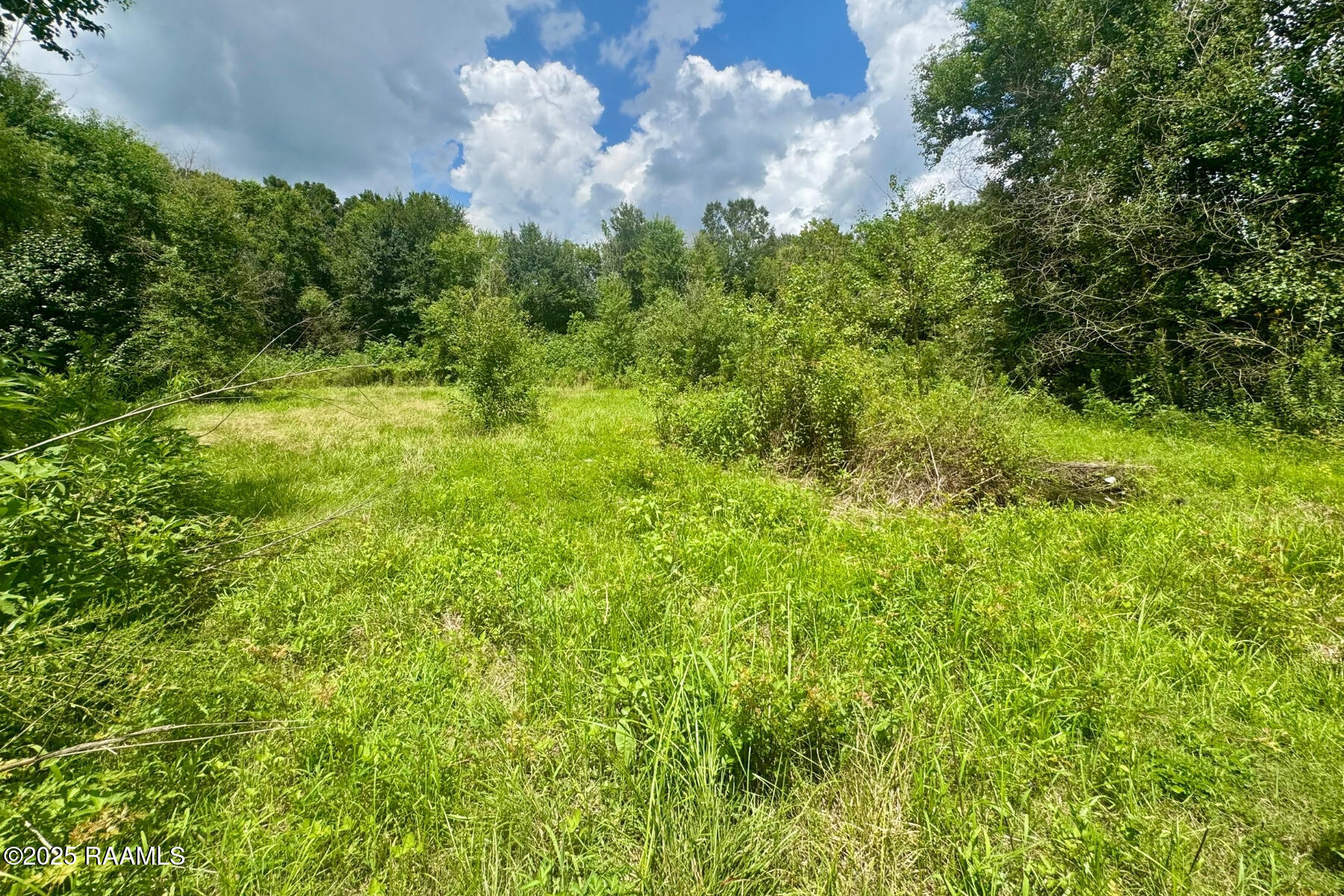 1312 Post Road Carencro, LA 70520 - Photo 7 of 9 BACK