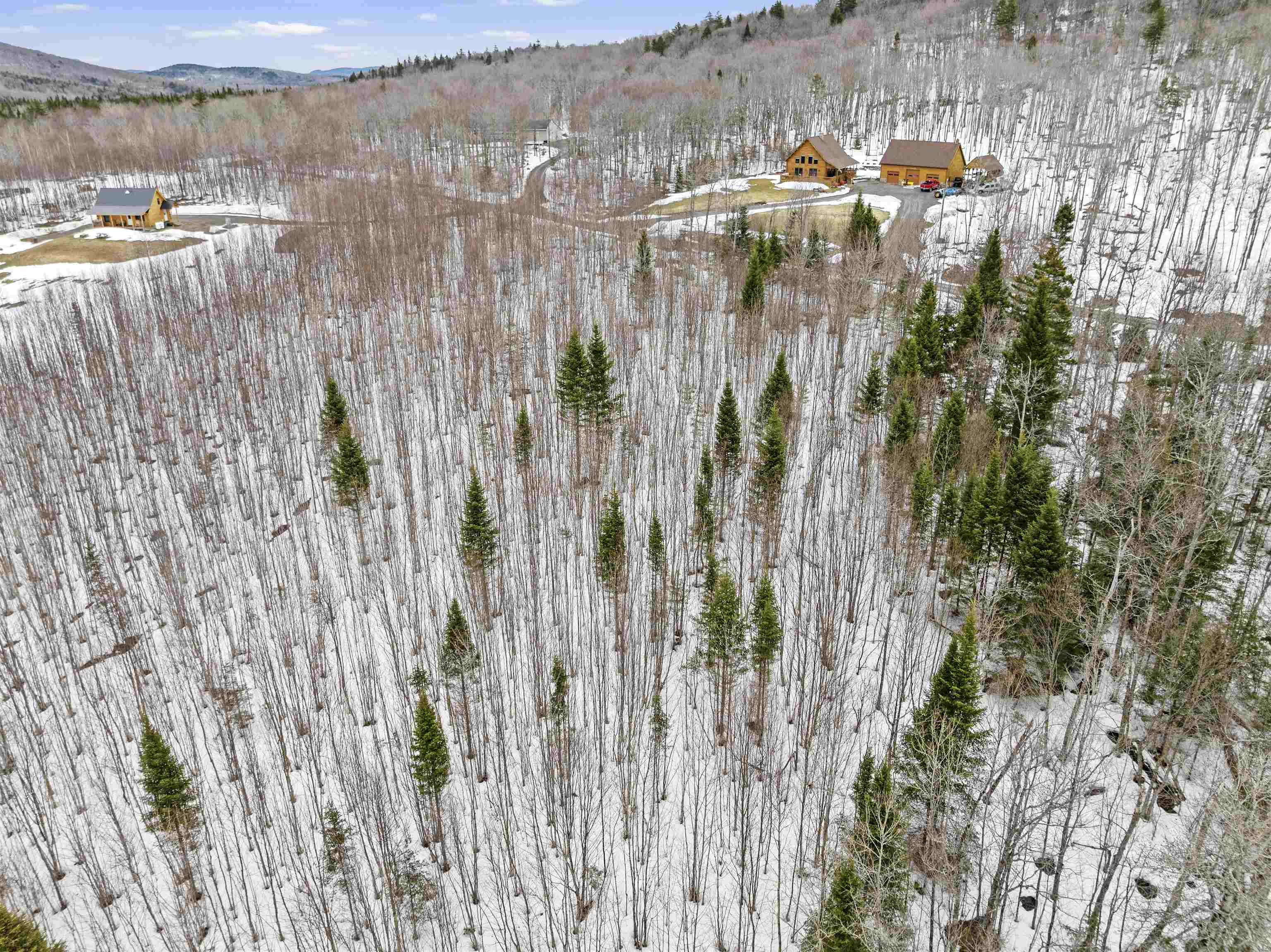Lot 5 Lonny Demmons Road Pittsburg, NH 03592 - Photo 13 of 28