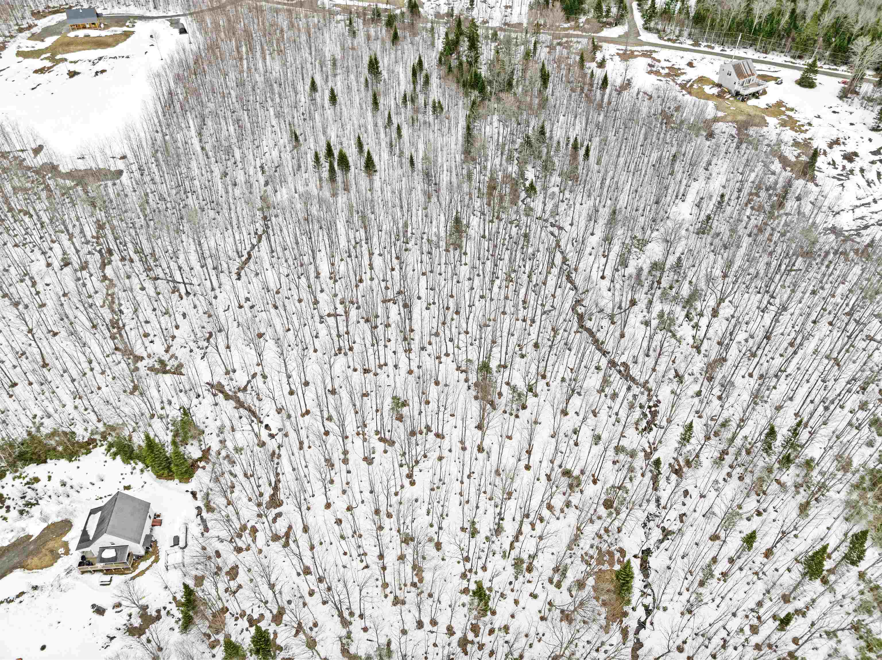 Lot 5 Lonny Demmons Road Pittsburg, NH 03592 - Photo 18 of 28