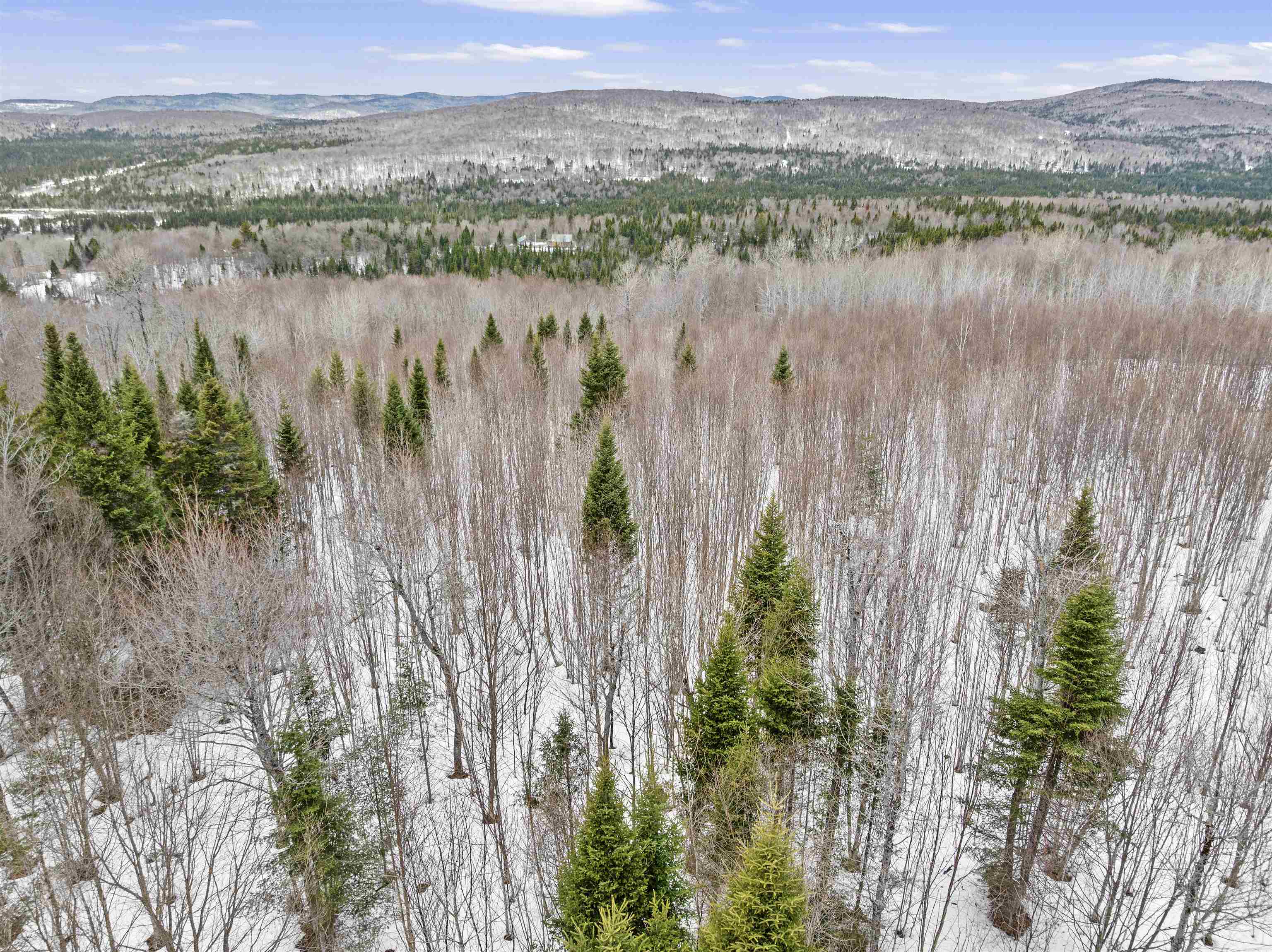 Lot 5 Lonny Demmons Road Pittsburg, NH 03592 - Photo 5 of 28