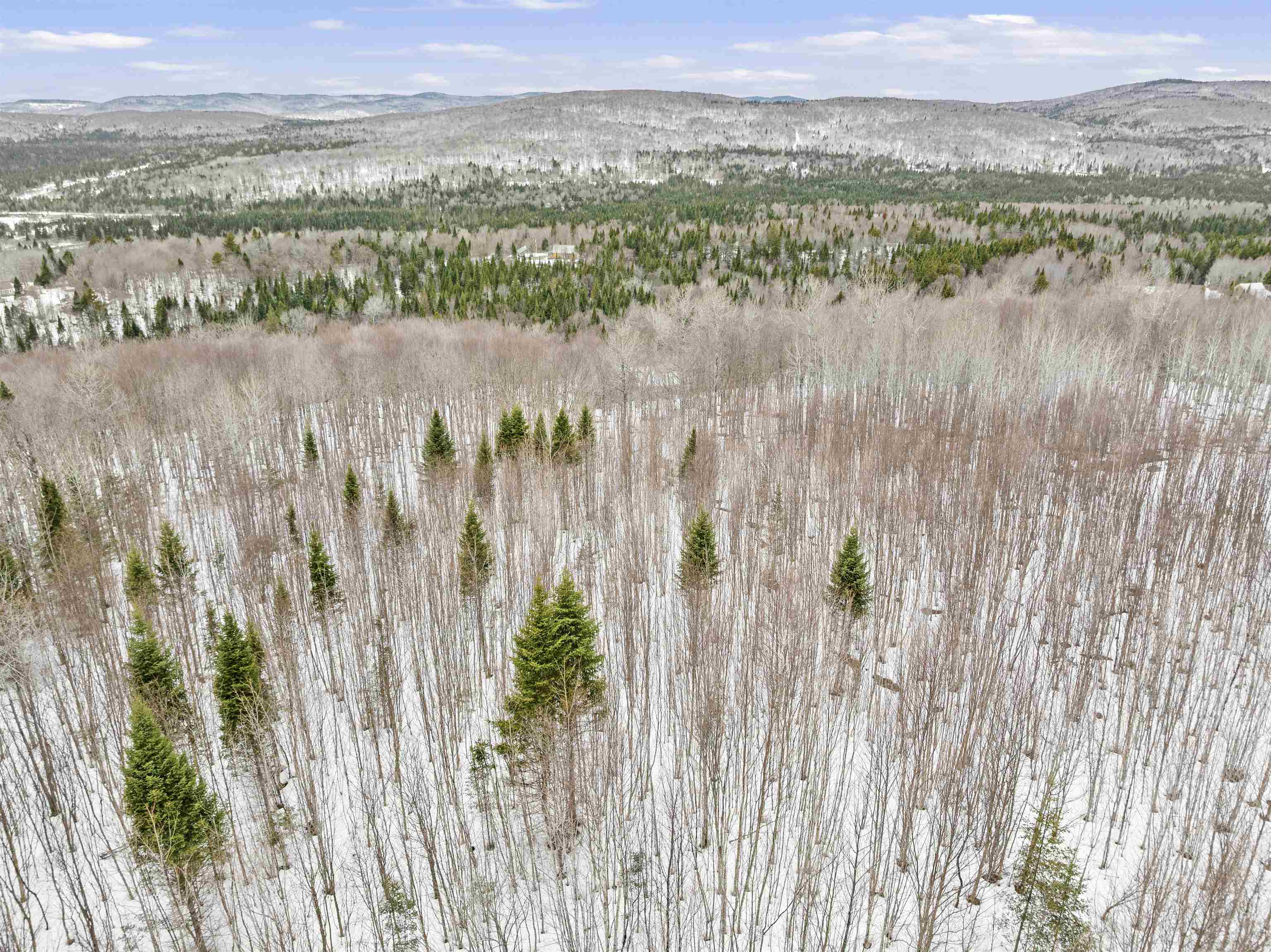 Lot 5 Lonny Demmons Road Pittsburg, NH 03592 - Photo 7 of 28