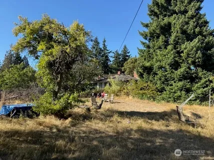 a view of backyard of house