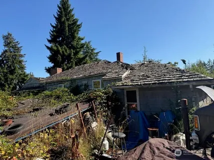 a view of a yard with plants and trees