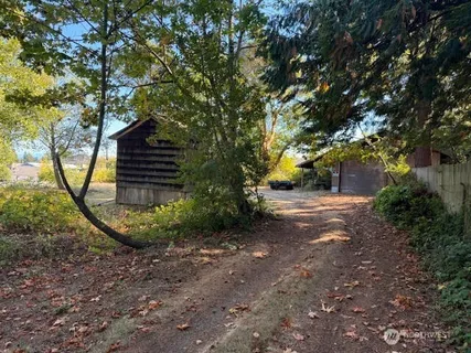 a view of a tree with a yard