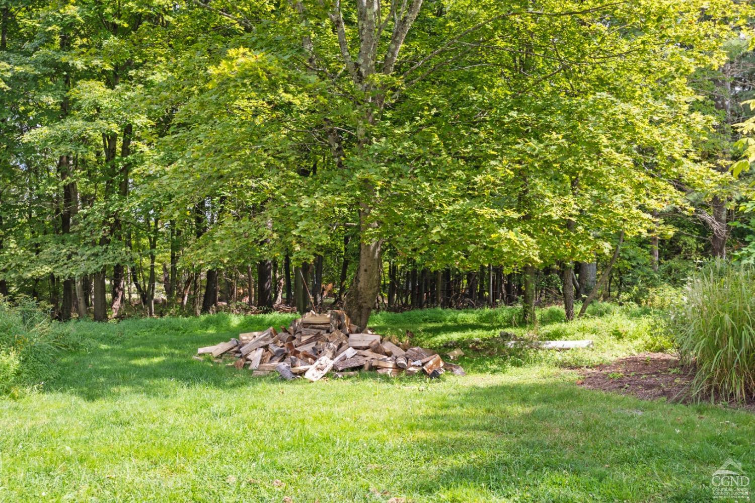 1487 County Rte 27 Craryville, NY 12521 - Photo 27 of 27 a view of a park