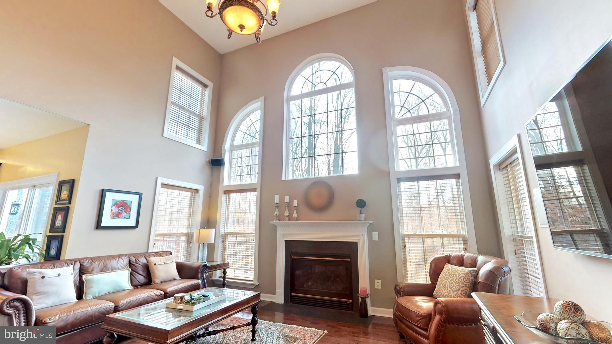 16005 Roland Park Place Gainesville, VA 20155 - Photo 13 of 59 Main Level - Family Room