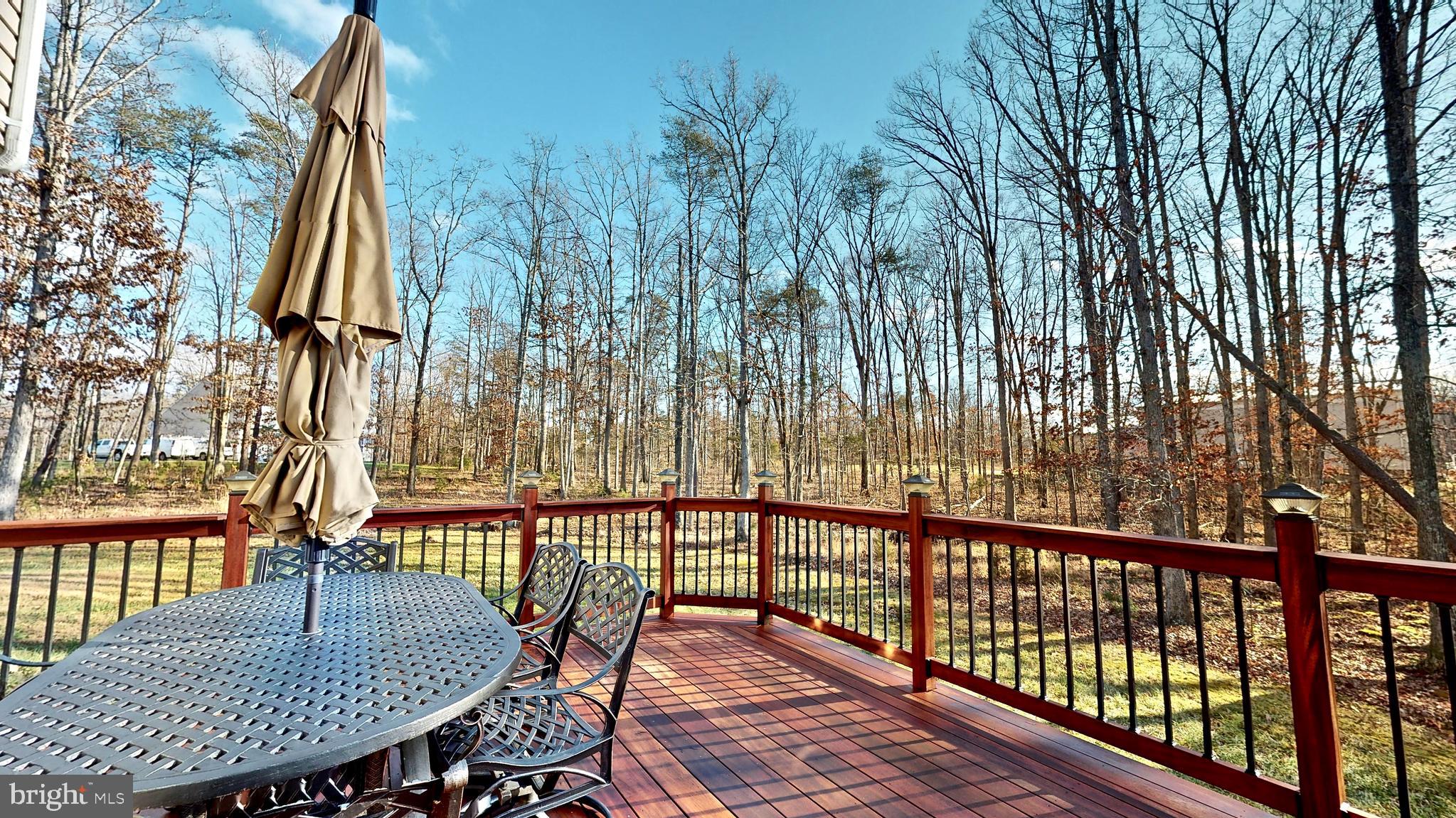 16005 Roland Park Place Gainesville, VA 20155 - Photo 55 of 59 Back Yard