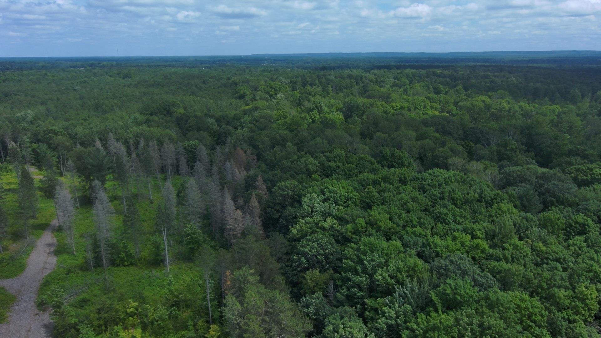0 North Reynolds Road Interlochen, MI 49643 - Photo 2 of 22