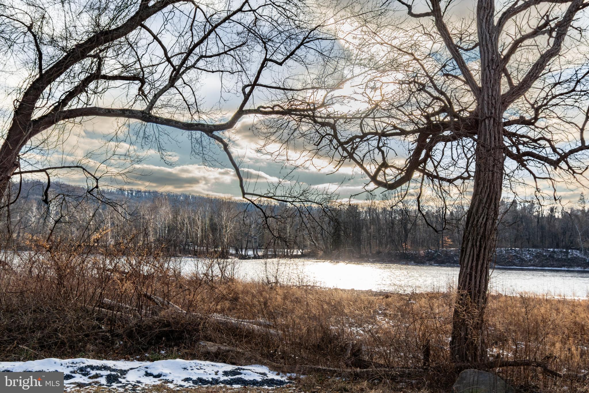 25 Risler Street Stockton, NJ 08559 - Photo 19 of 36 a view of a yard covered with snow and trees