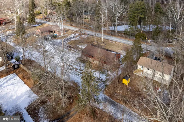a view of a dry yard with trees