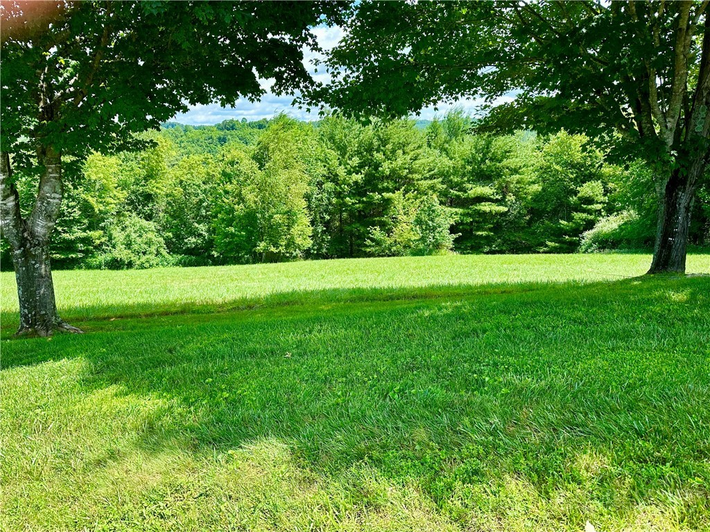 Pinnacle Ridge Road Jefferson, NC 28640 - Photo 3 of 13