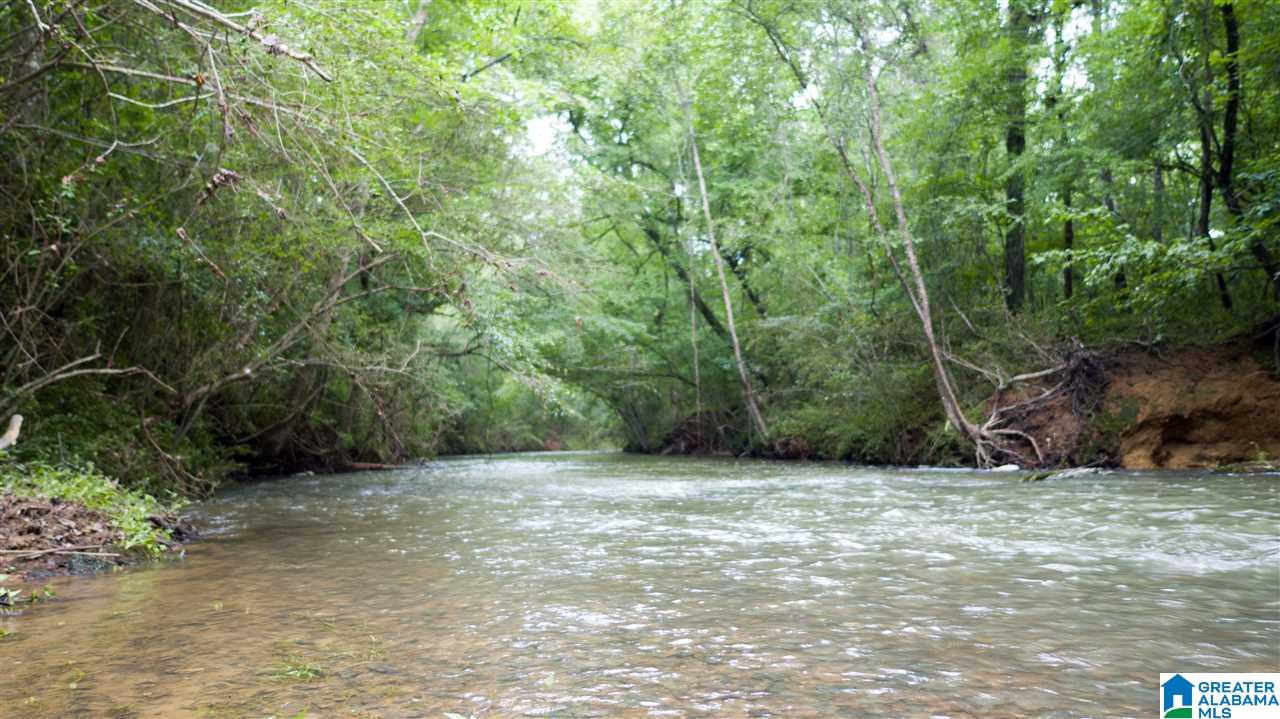 180 Gibson Road, Unit 76 / ACRES OFF GIBSON R Columbiana, AL 35051 - Photo 2 of 50