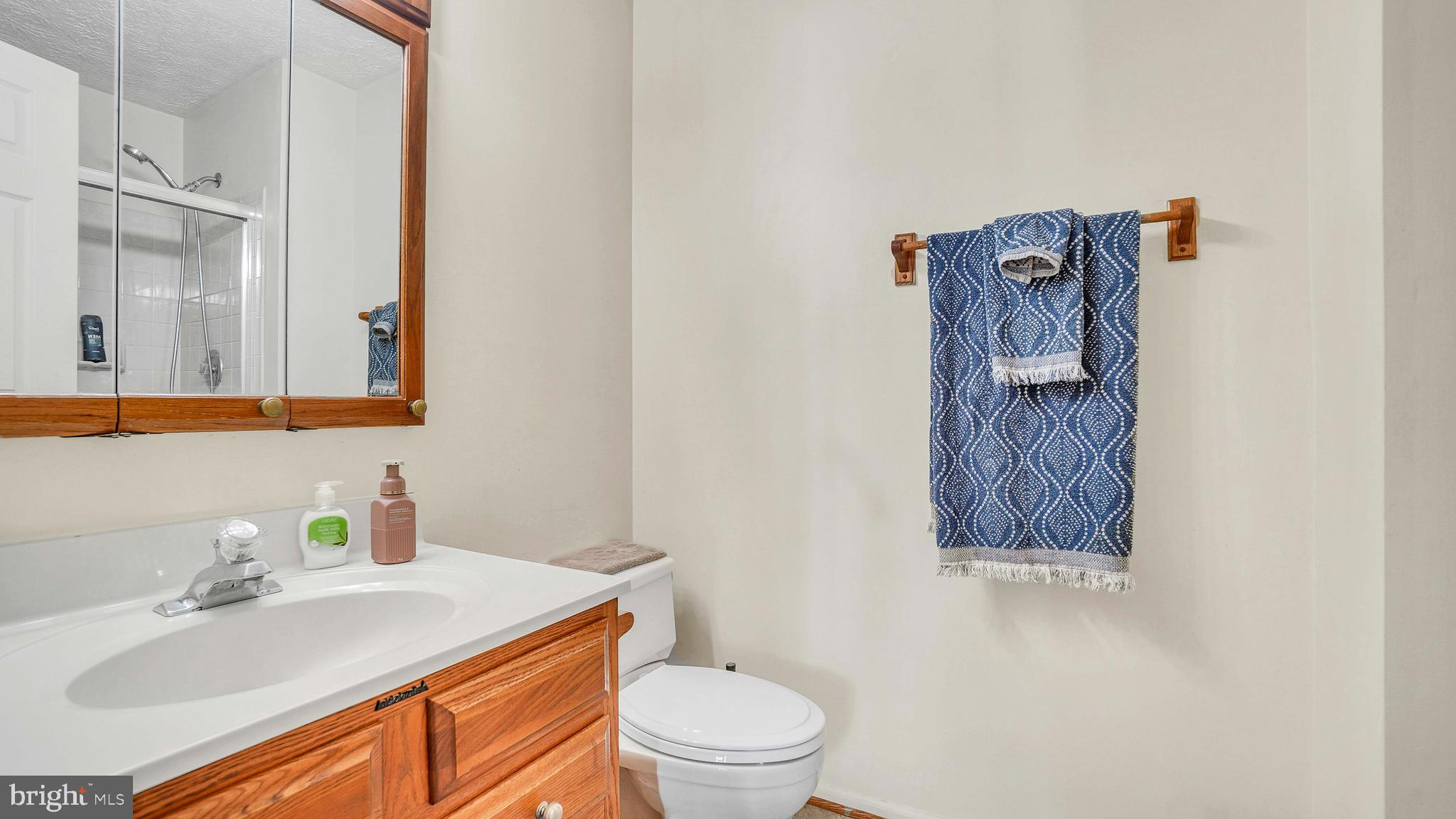 833 Deering Road, Unit 8E Pasadena, MD 21122 - Photo 18 of 22 Owner's Bath