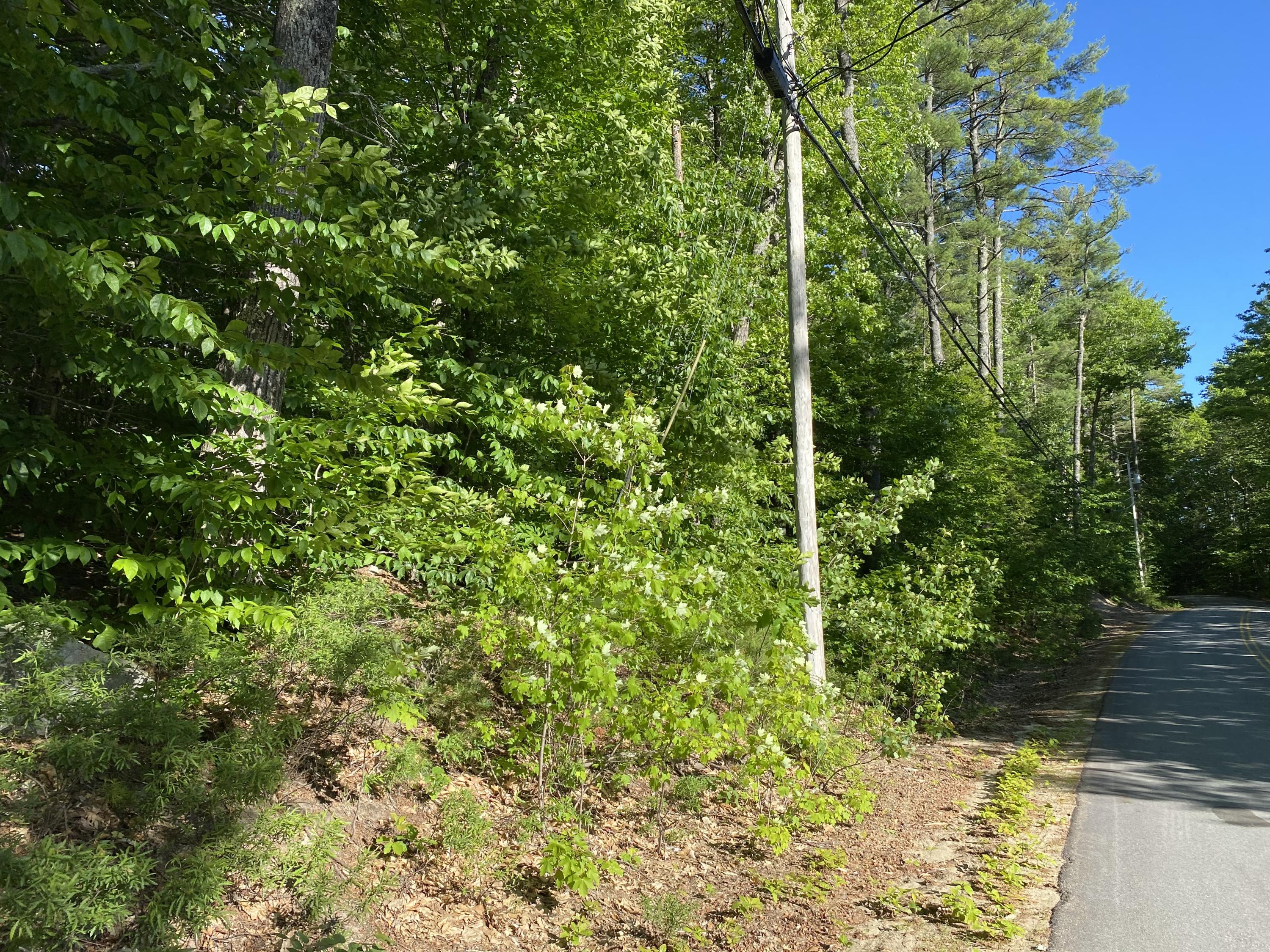 Lot 67-68 Gore Road Naples, ME 04055 - Photo 2 of 6 IMG_0258