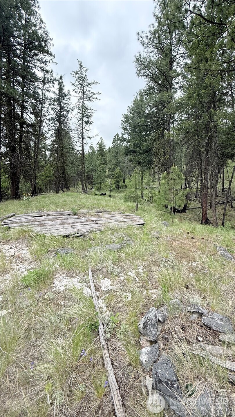 0 Broken Spoke Road Tonasket, WA 98855 - Photo 37 of 39 a view of outdoor space with trees