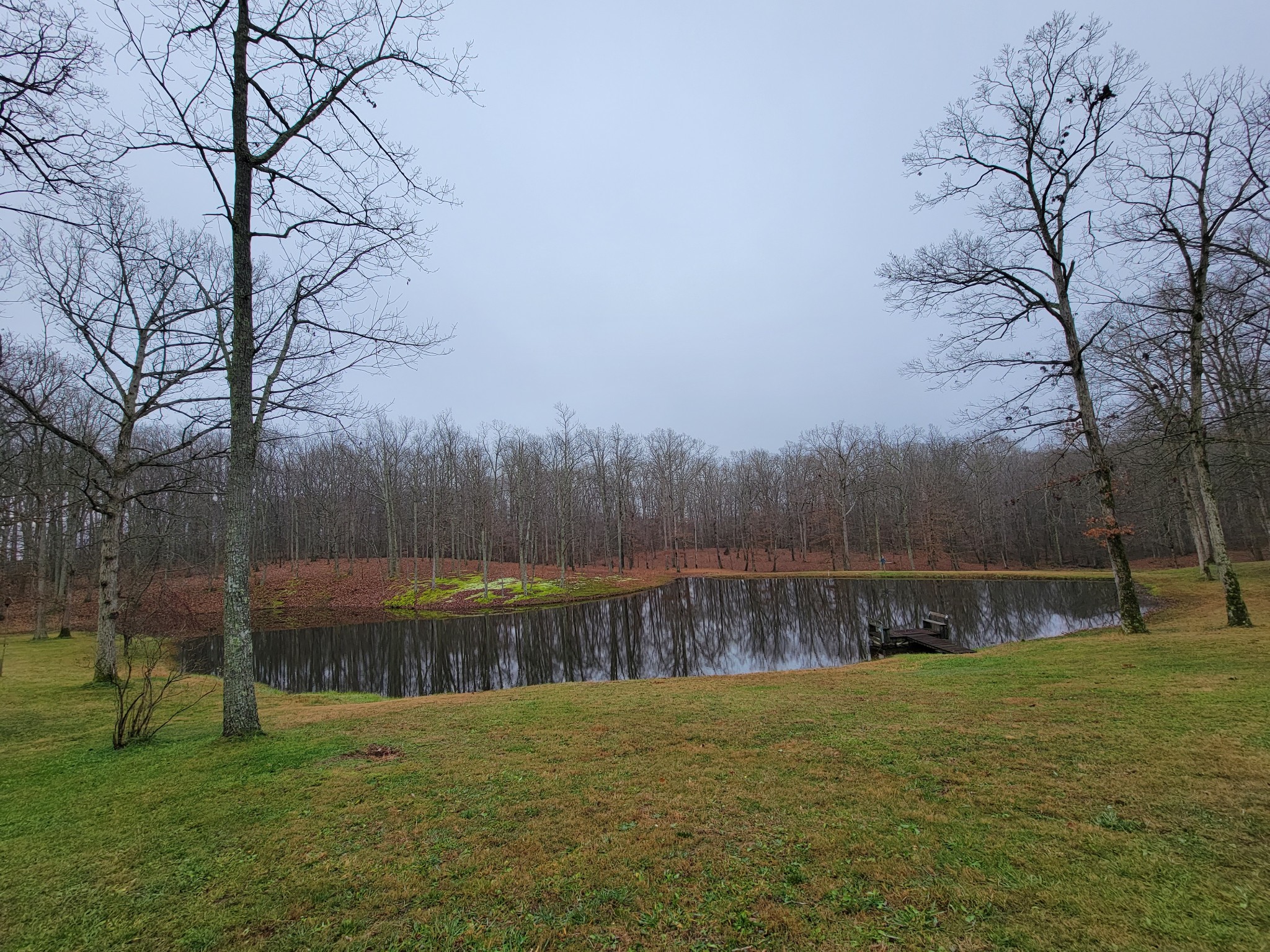 a backyard of a house with lots of green space and lake view
