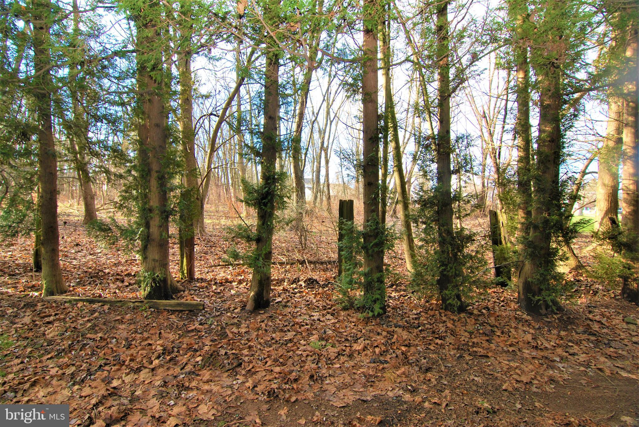 103 Deep Run Road, Unit D2 Dublin, PA 18917 - Photo 8 of 10 Scenic Backyard