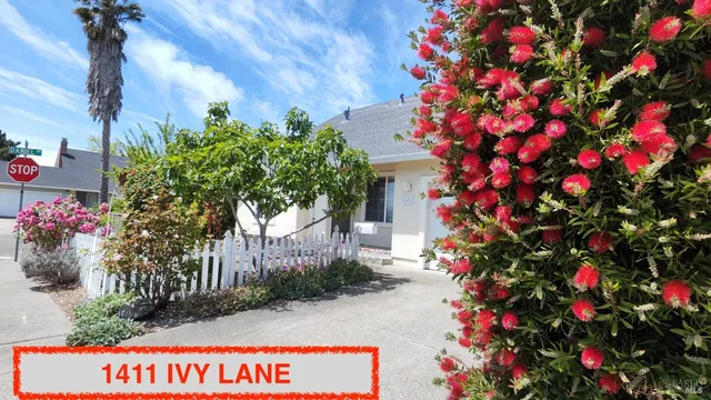 a picture of flowers