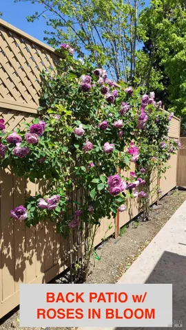 a view of a outdoor space