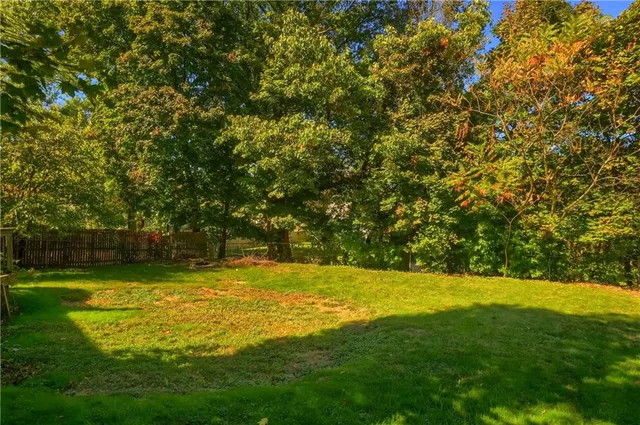 a view of a yard with a trees