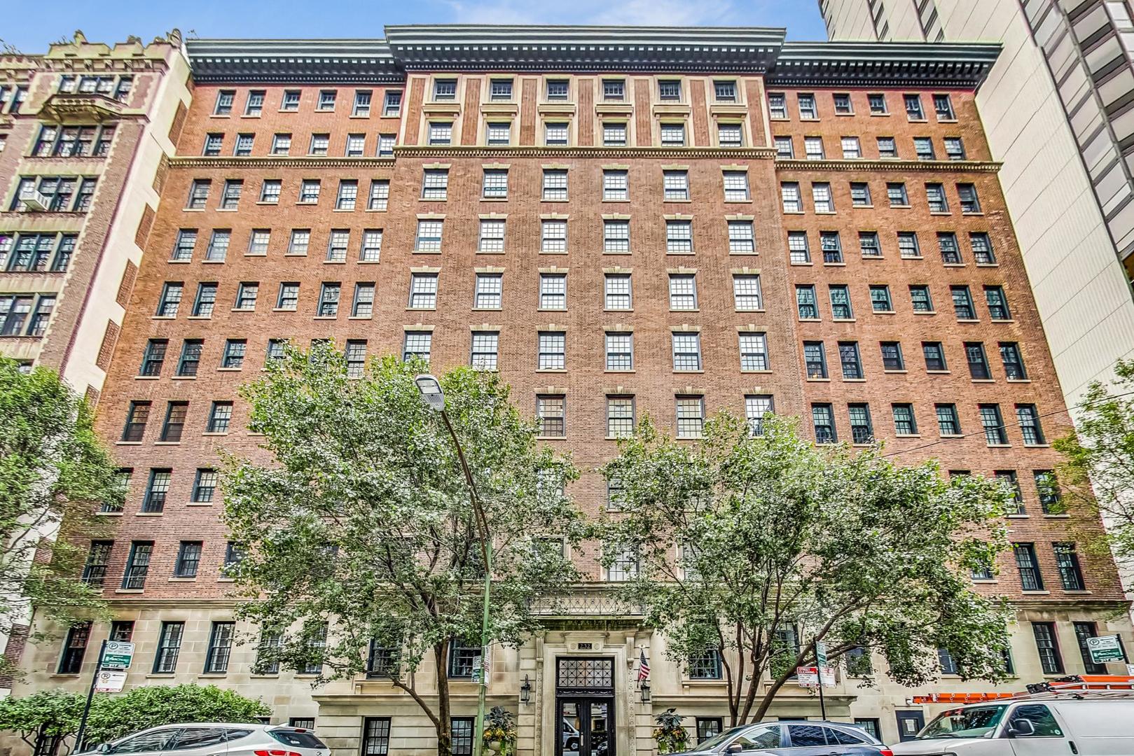 232 East Walton Pl Unit 10E  