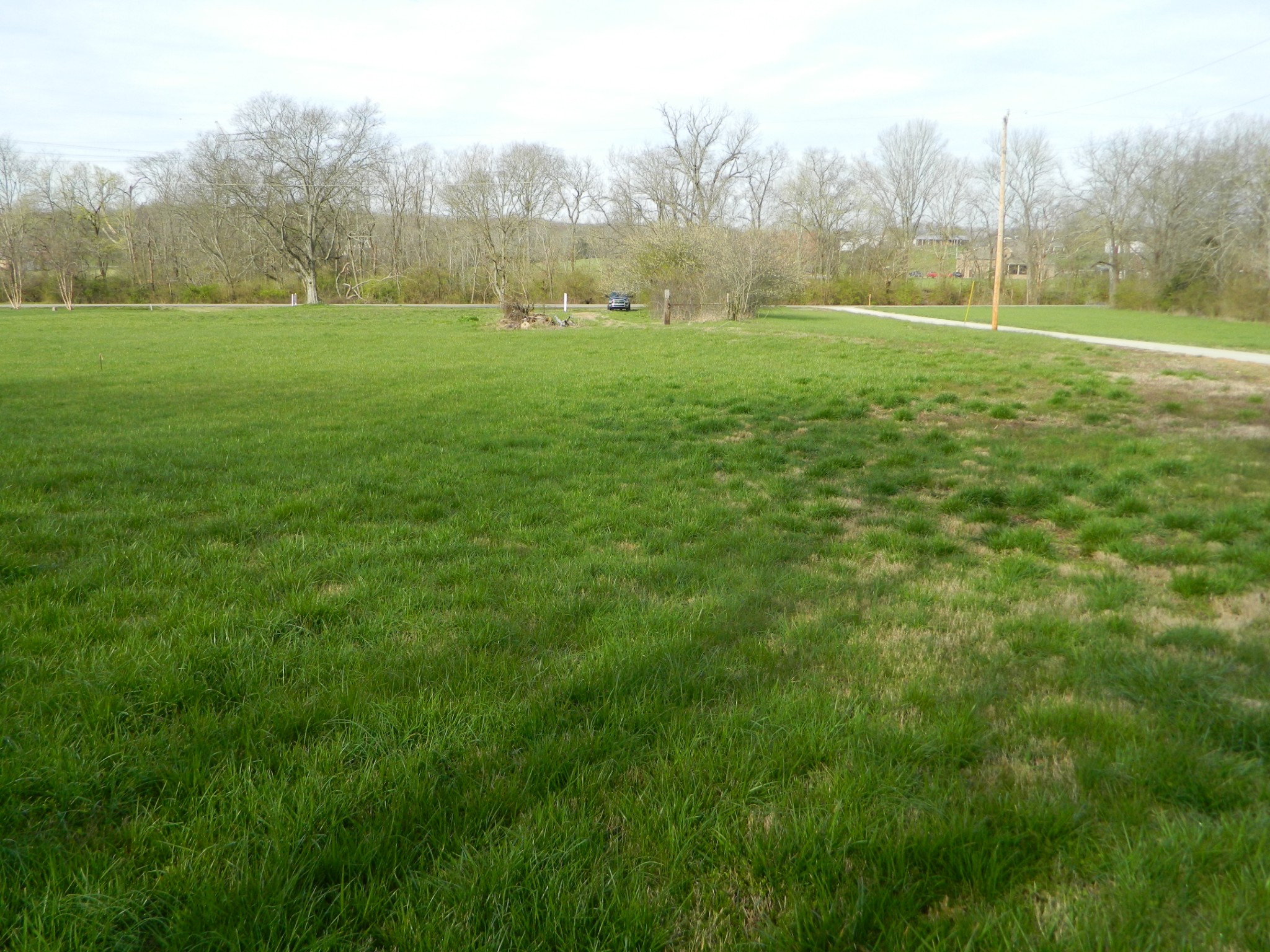 a view of outdoor space with green field and trees all around