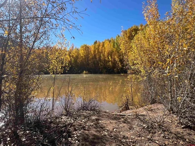 a view of a lake with a tree