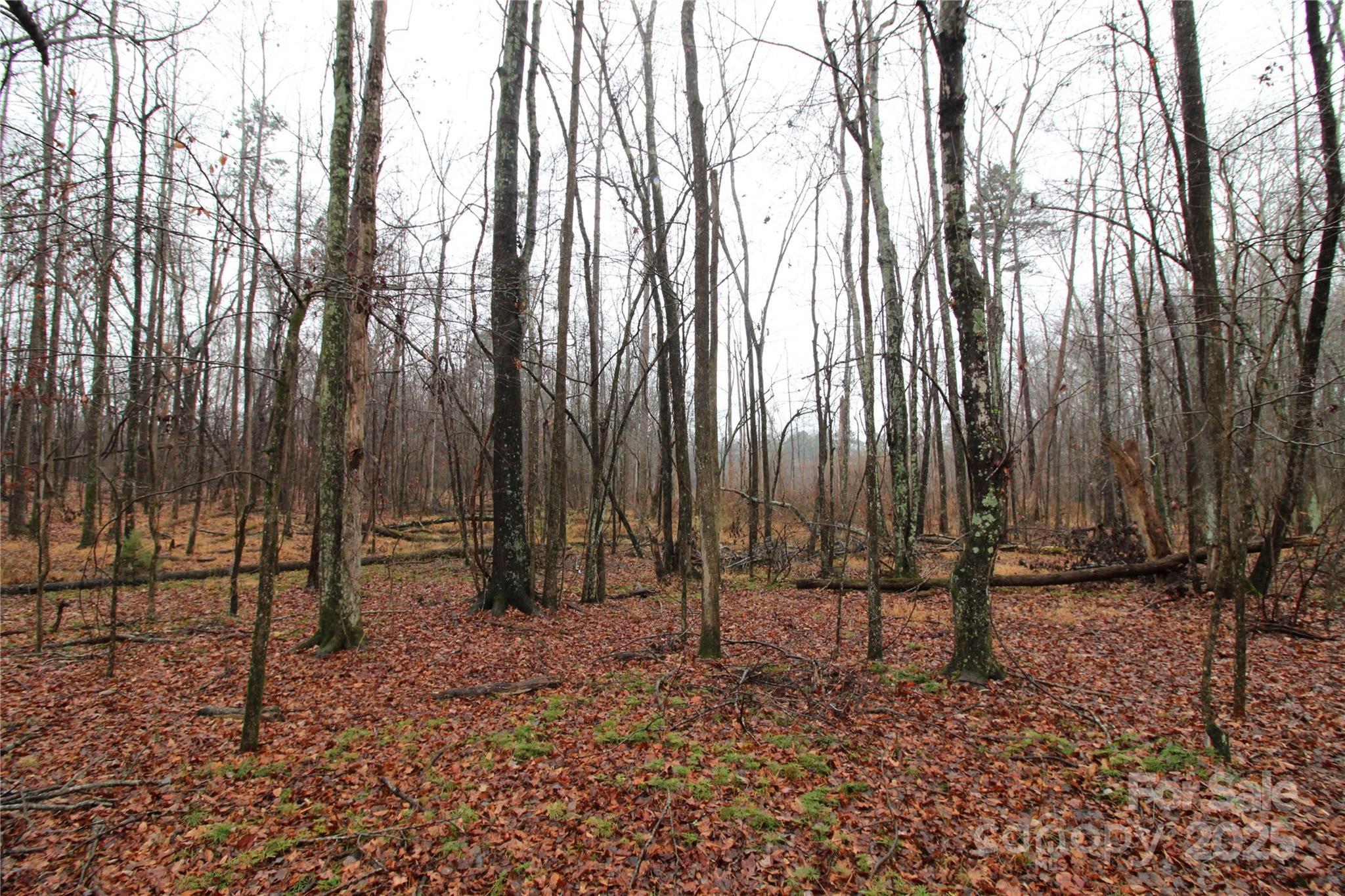 14.41-ac Eaker Road, Unit LOT P Bessemer City, NC 28016 - Photo 4 of 4