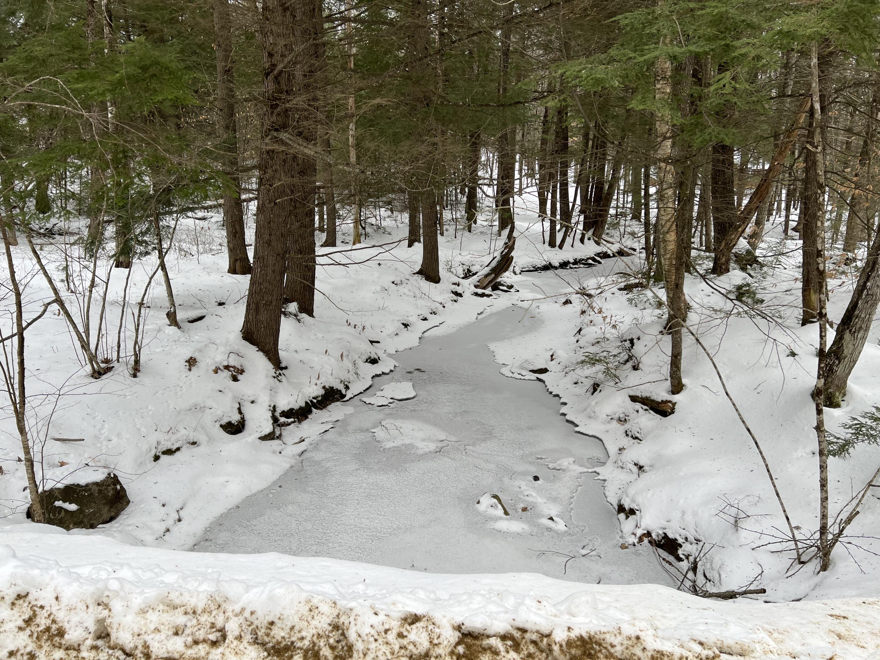 0 Swan Pond Road Hartford, ME 04220 - Photo 2 of 6 IMG-6126 (1)