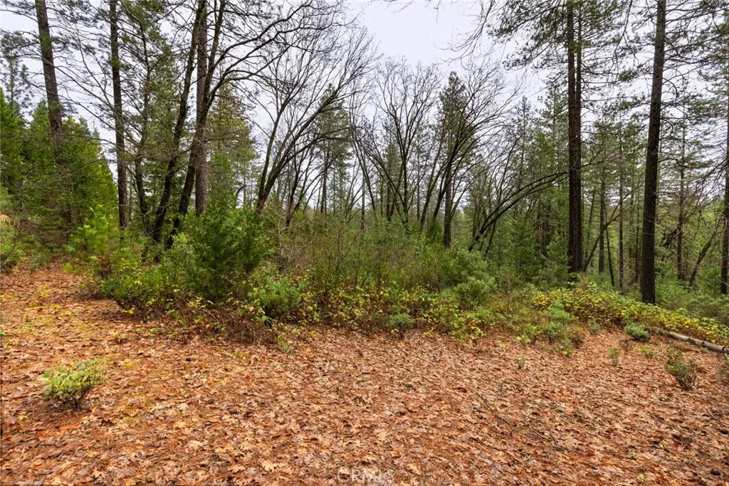 0 Christina Drive Magalia, CA 95954 - Photo 15 of 18 a view of outdoor space and trees