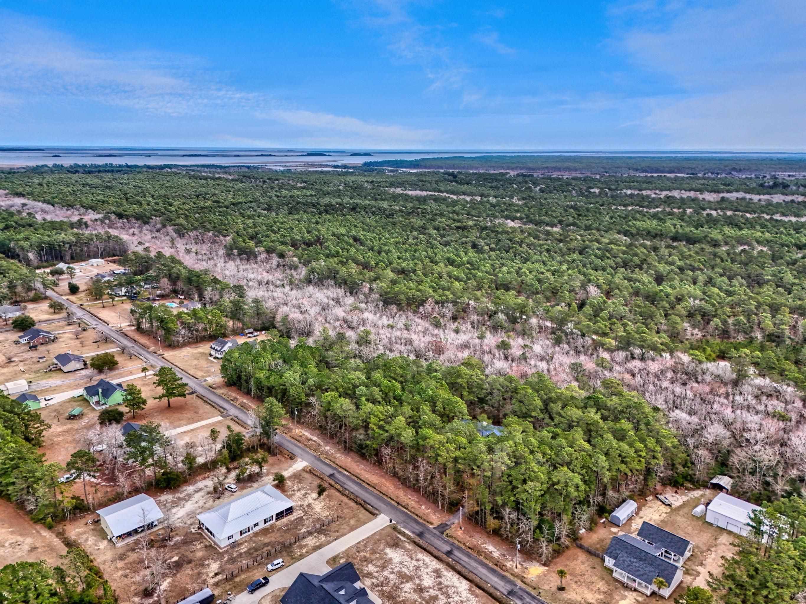 437 Deer Run Avenue Georgetown, SC 29440 - Photo 34 of 42