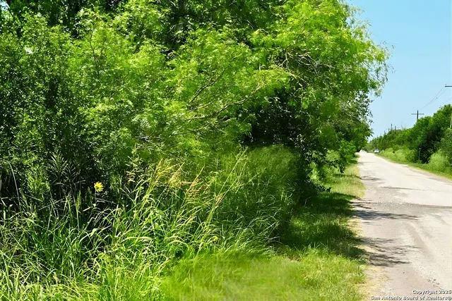 a backyard of a house with lots of green space