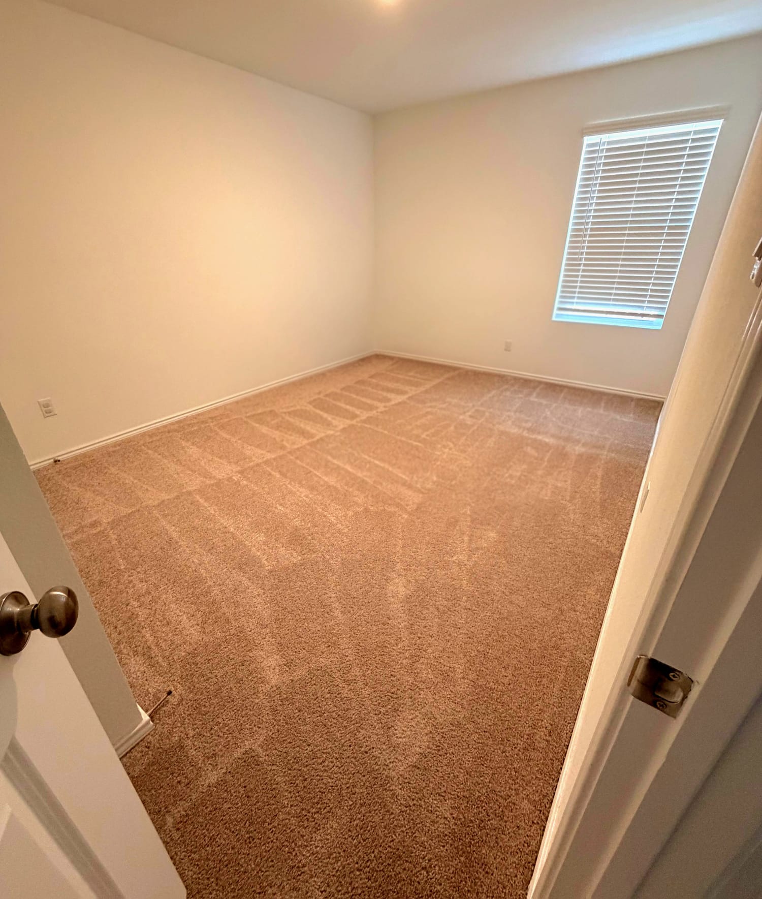 2520 Four Waters Loop Georgetown, TX 78628 - Photo 7 of 15 Unfurnished room featuring light colored carpet and baseboards