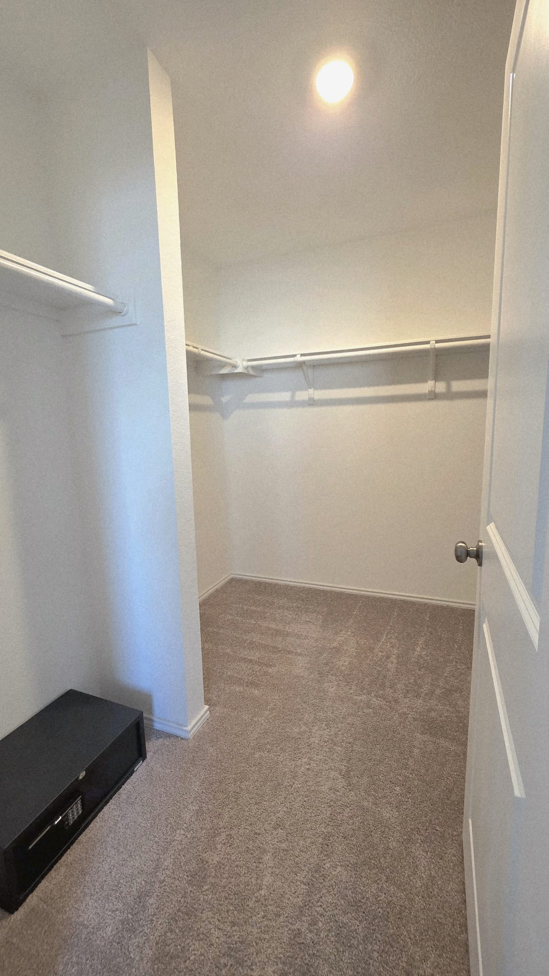 2520 Four Waters Loop Georgetown, TX 78628 - Photo 8 of 15 Walk in closet featuring dark colored carpet